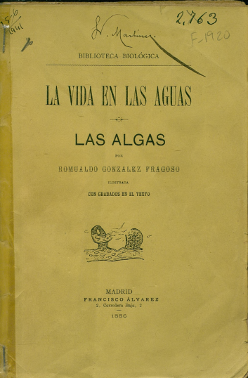 La vida en las aguas: las algas